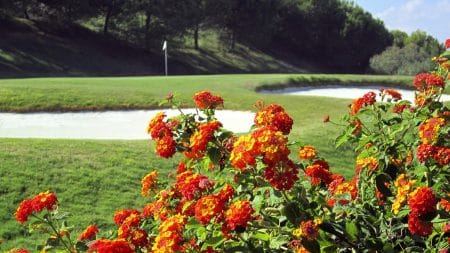 Hoyo 3:: Doña Julia Golf Club