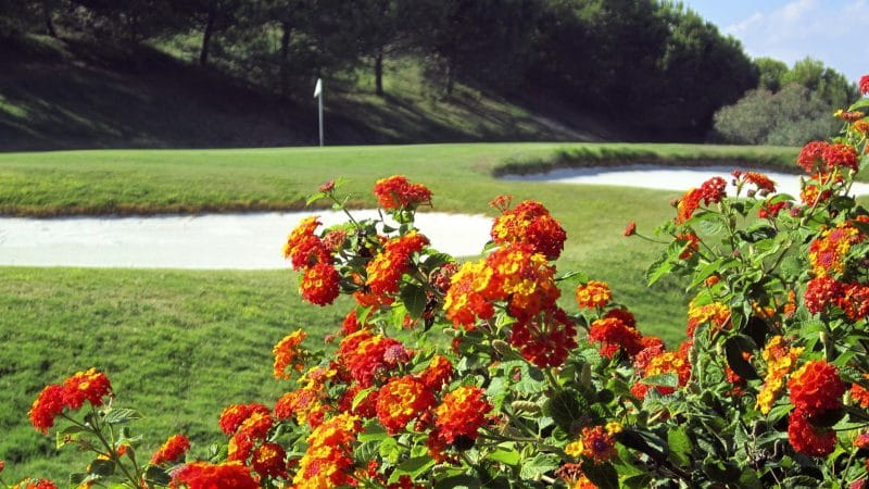 Hoyo 3:: Doña Julia Golf Club