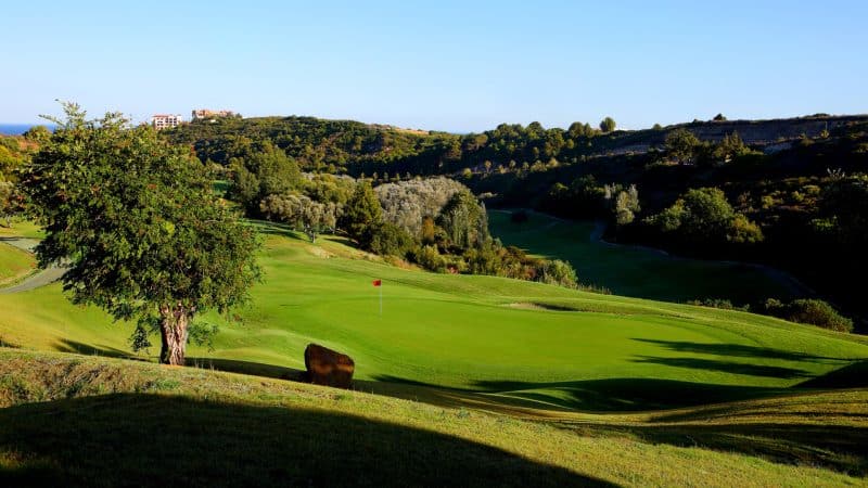 Hoyo 5:: Doña Julia Golf Club