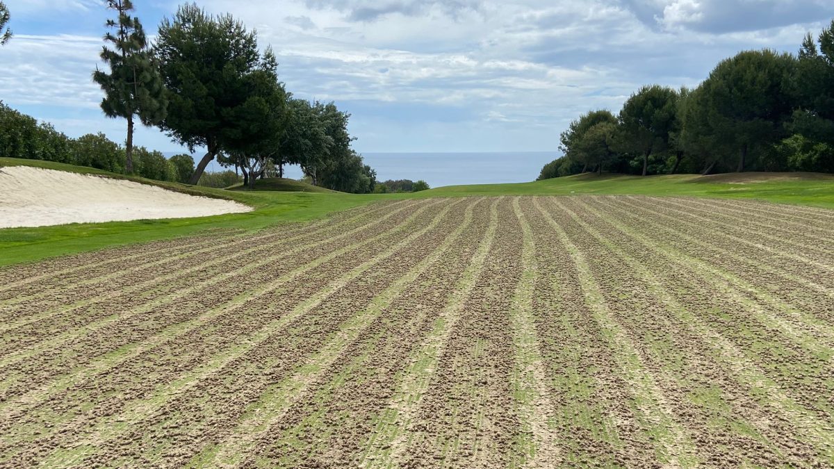 Greens spiking. Why is it so important?