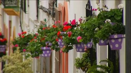 costa del sol's garden estepona